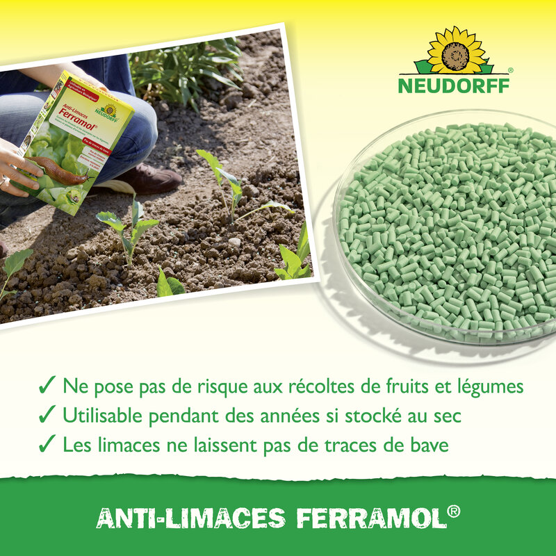 Anti-limaces Ferramol Neudorff pour protéger fruits, légumes et potager