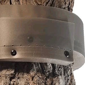 Fixation vissée de l’écopiège