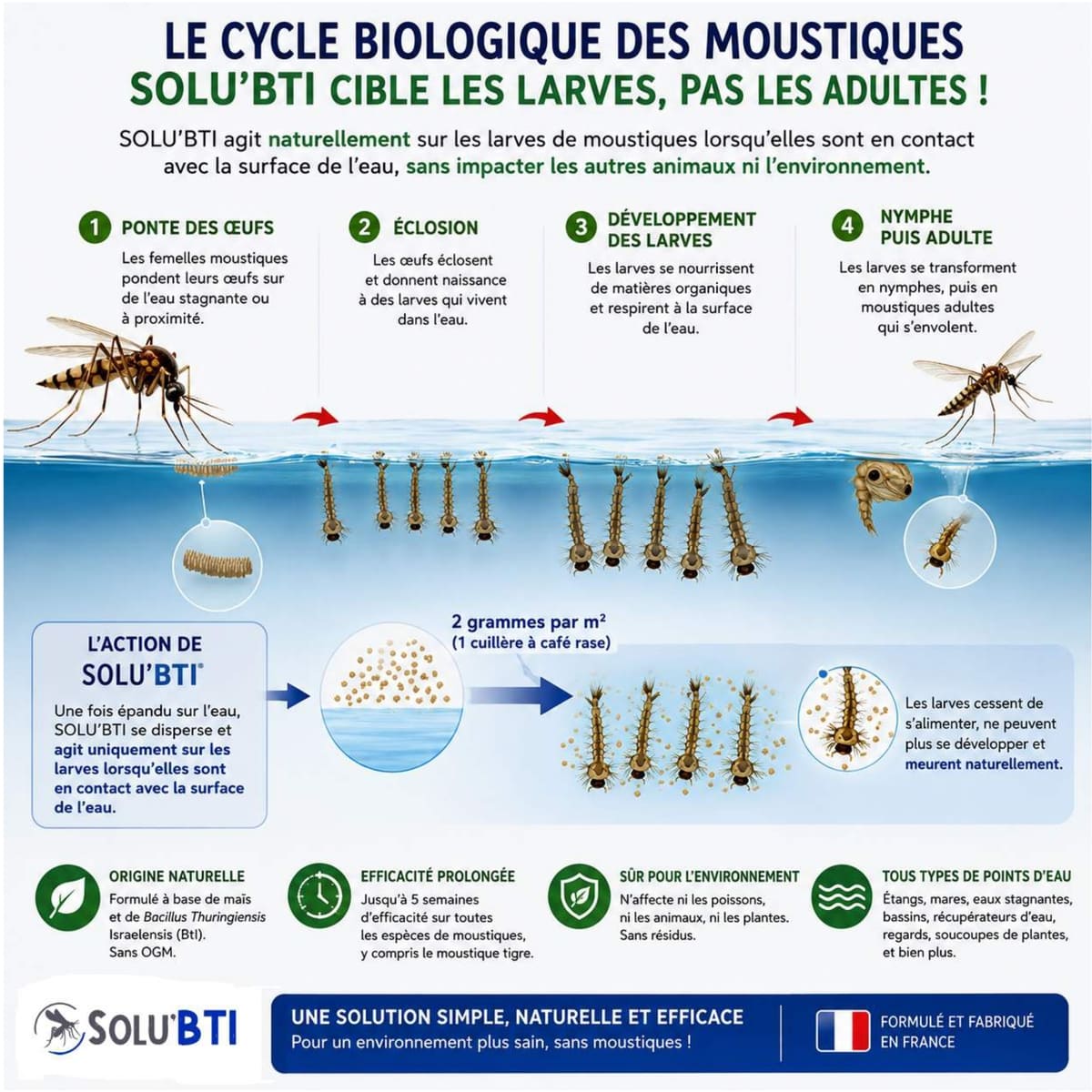 Mode d'action du SoluBTI, traitement des larves de moustiques