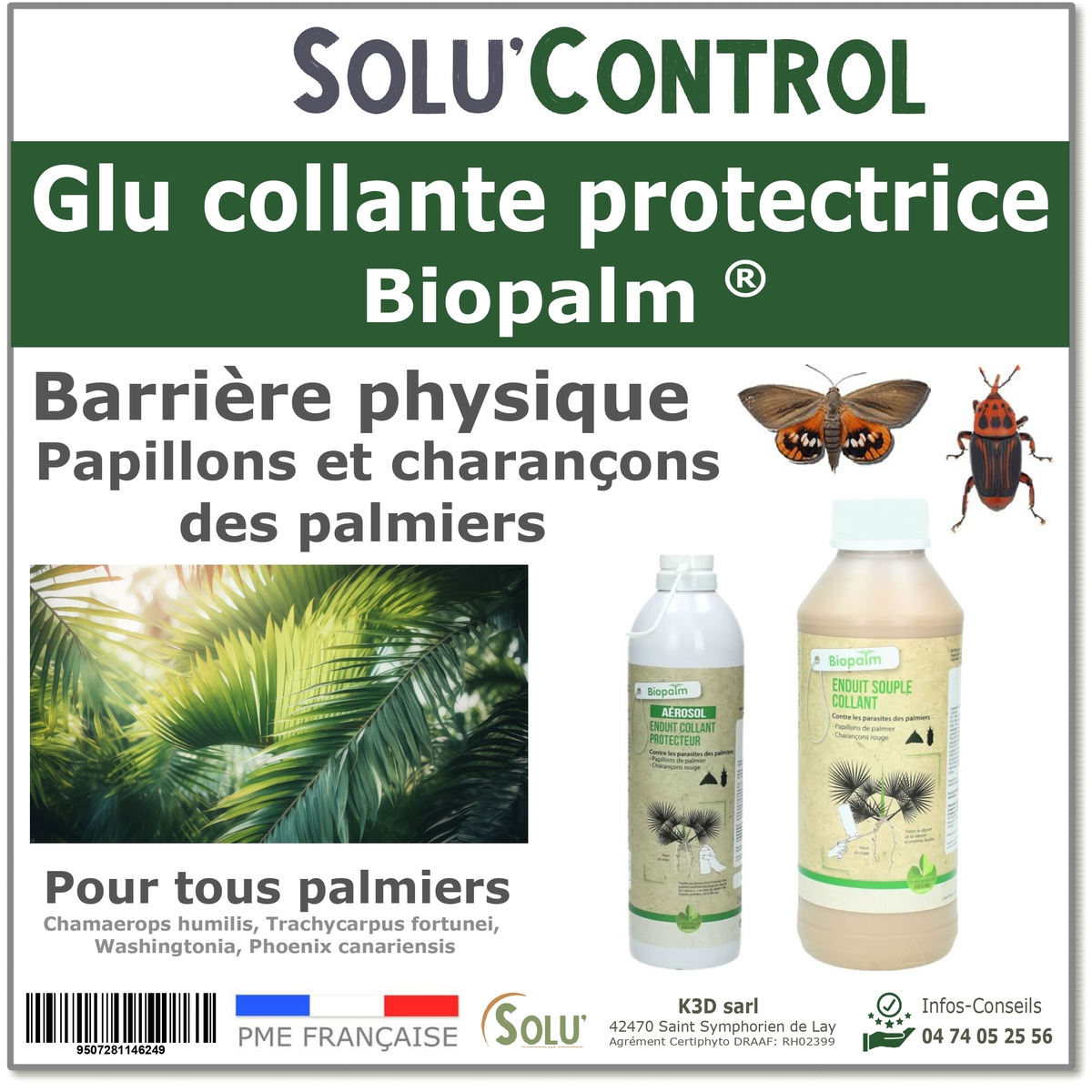 Biopalm, proteger son palmier contre le papillon du palmier et le charancon rouge