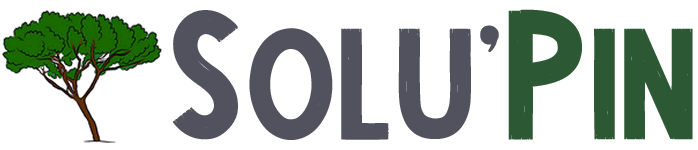 SOLU'PIN logo