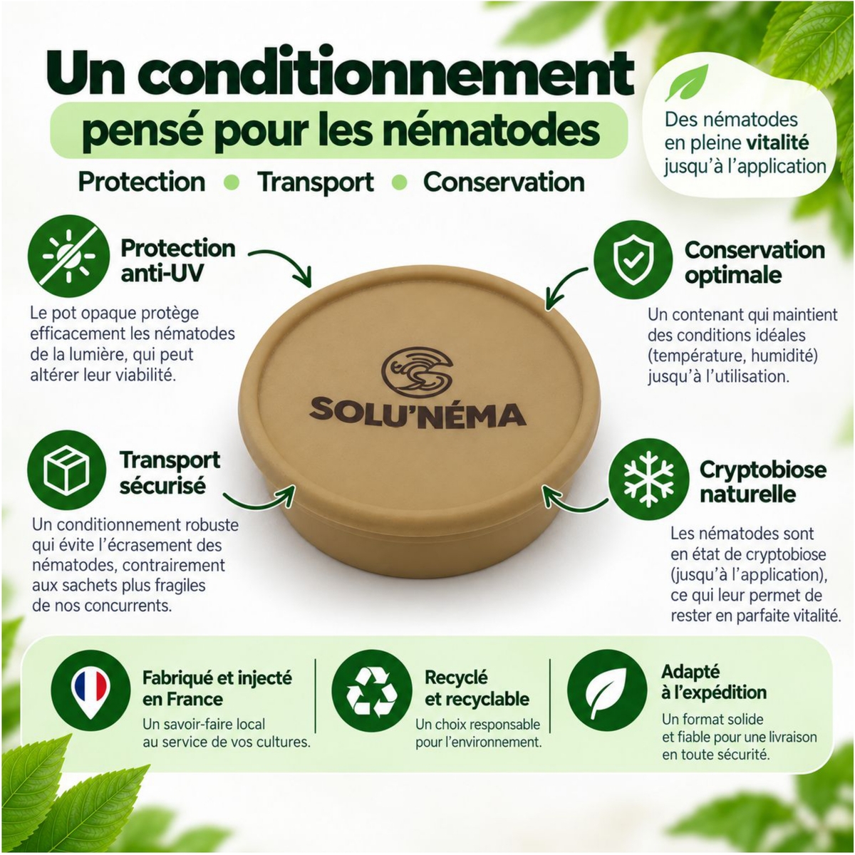 Nouveau Pot de nématodes
