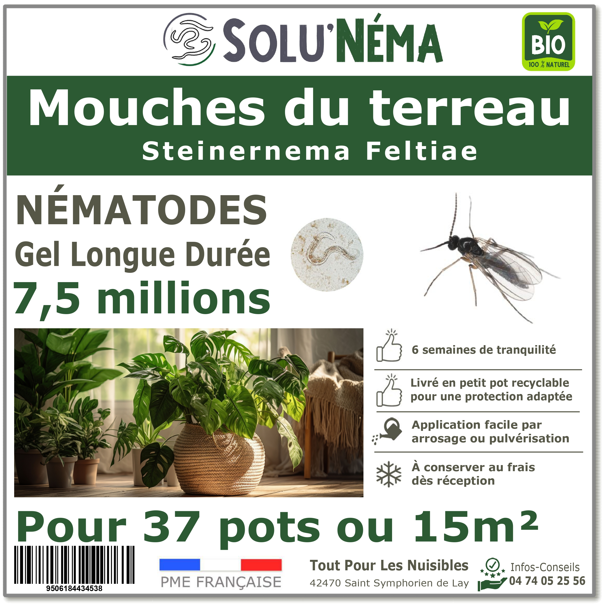 Nématodes (SF) Solunema pour Les mouches du terreaux 7,5 millions SF