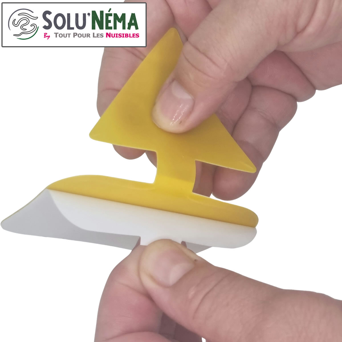 Piège collant installation