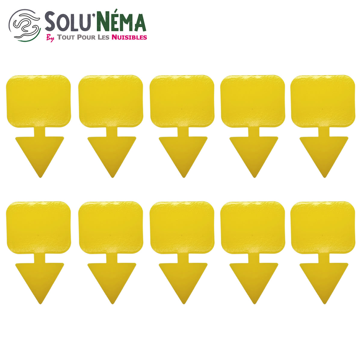 Piège collant jaune à insectes x10