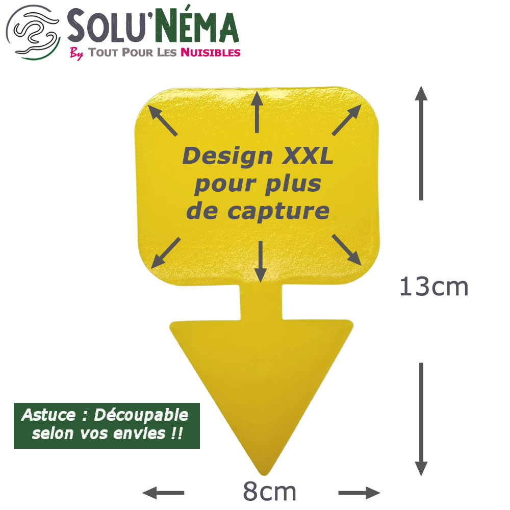 Piège collant jaune XXL