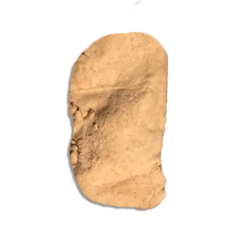 Nématode SF 250 millions