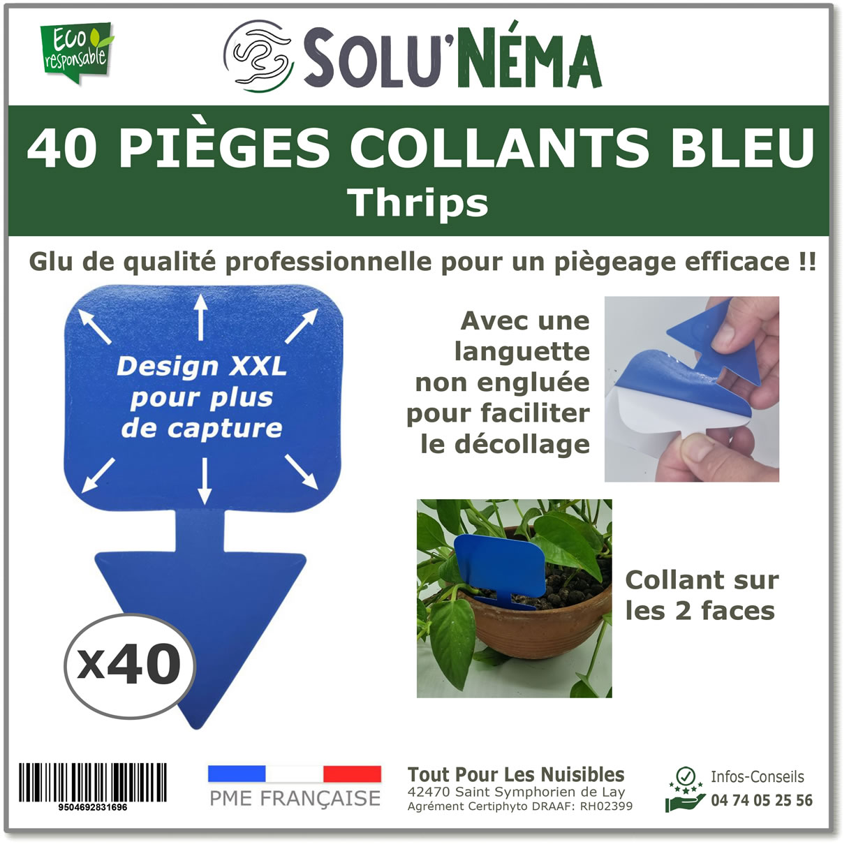 Piège collant bleu à insectes x40