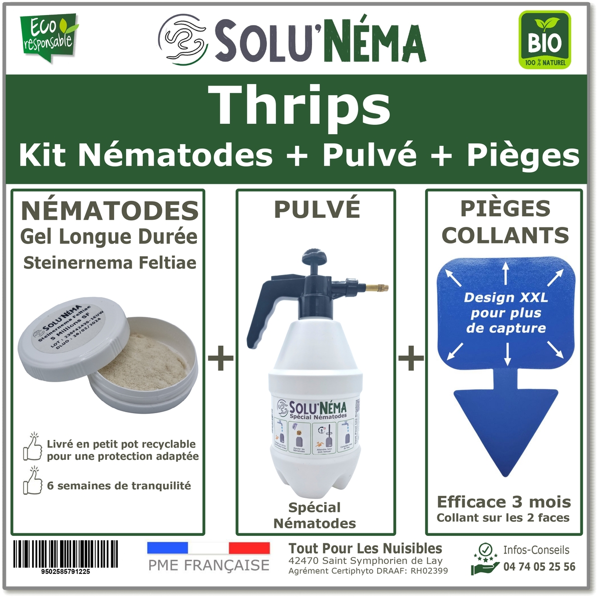 Kit Complet Thrips - Nématodes SF  + Pulvérisateur + Pièges Jaunes Collants XXL