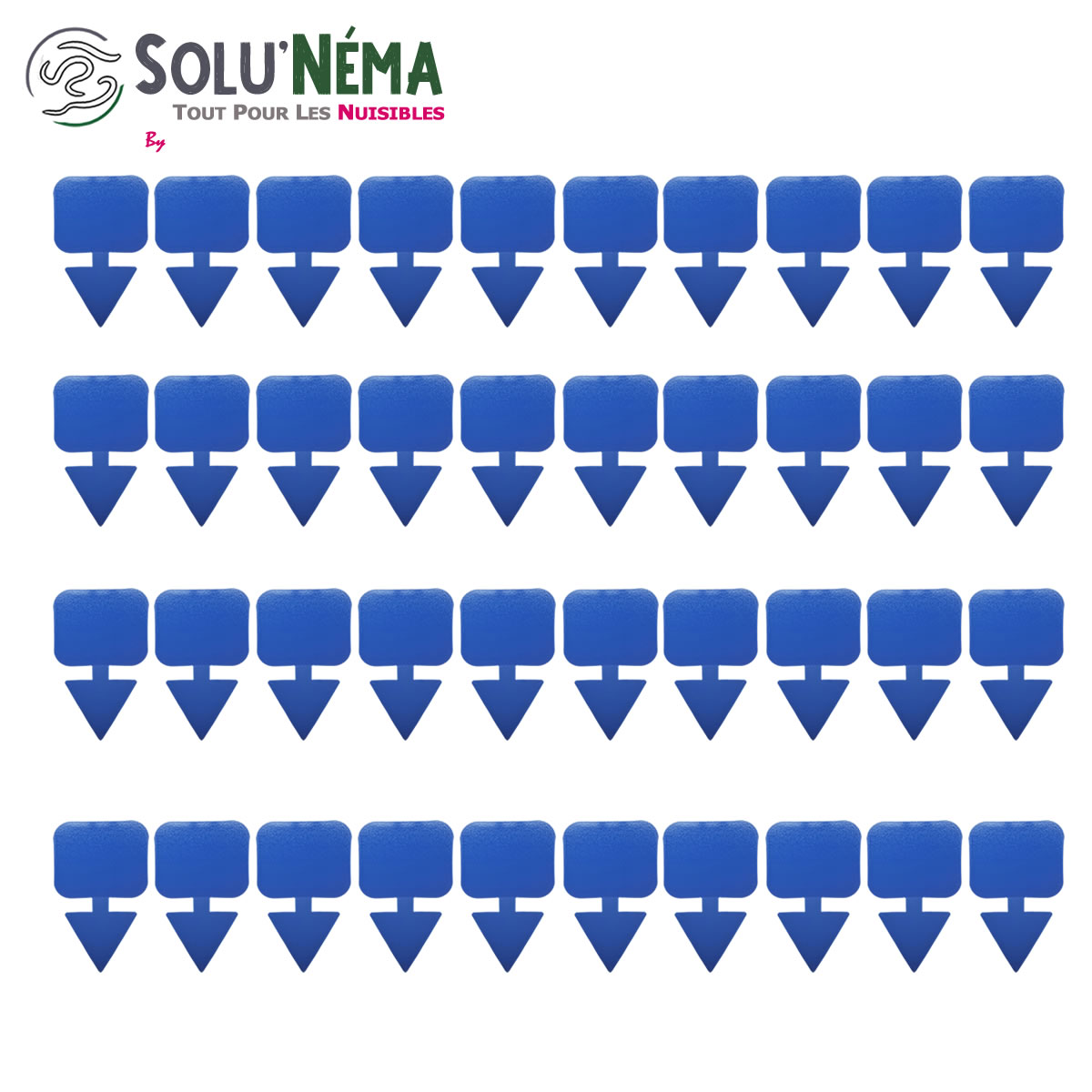 Piège collant bleu à insectes x40