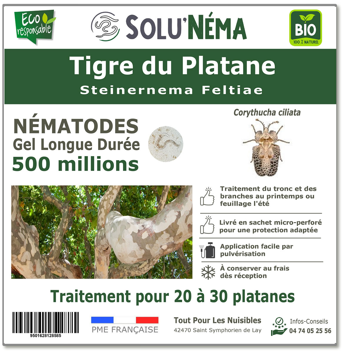 Nematodes-tigre-du-platane-500-millions