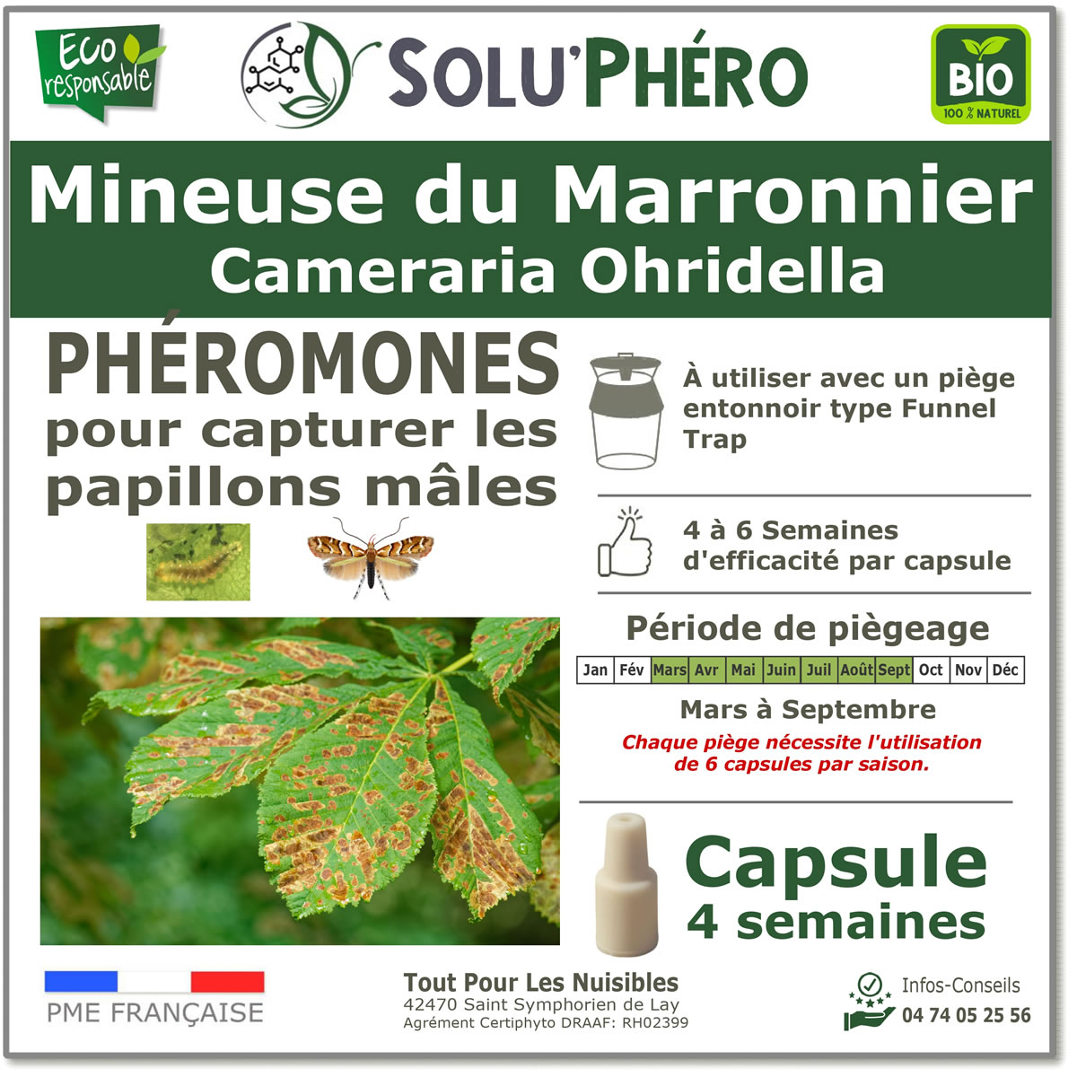 Phéromone pour attirer et capturer le papillon mâle de la mineuse du marronnier, Cameraria Ohridella