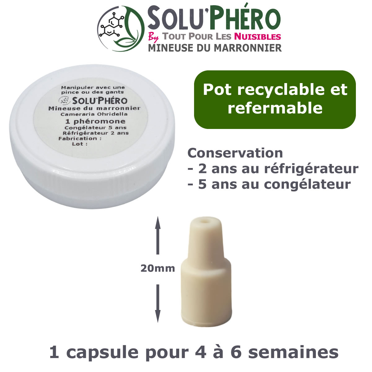 1 Phéromone mineuse marronnier