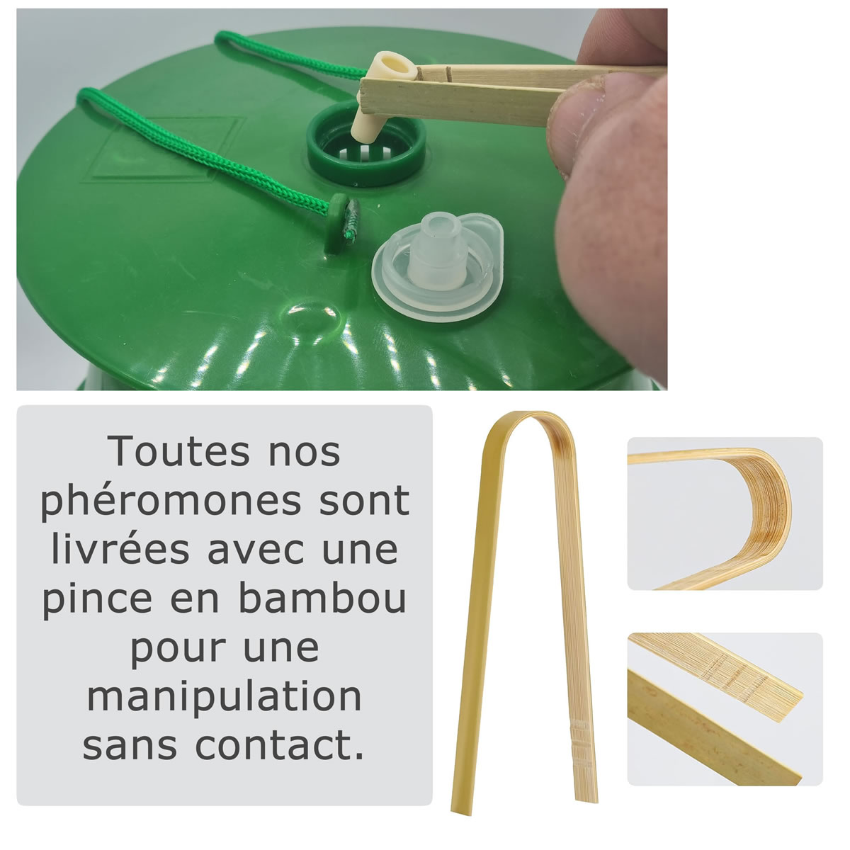 Mise en place phéromone avec une pince bambou