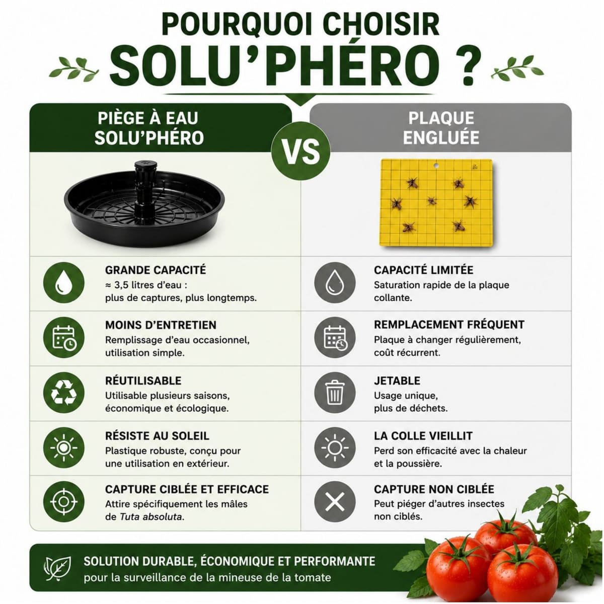 Piège à phéromones Water Trap pour la mineuse de la tomate – Comparatif