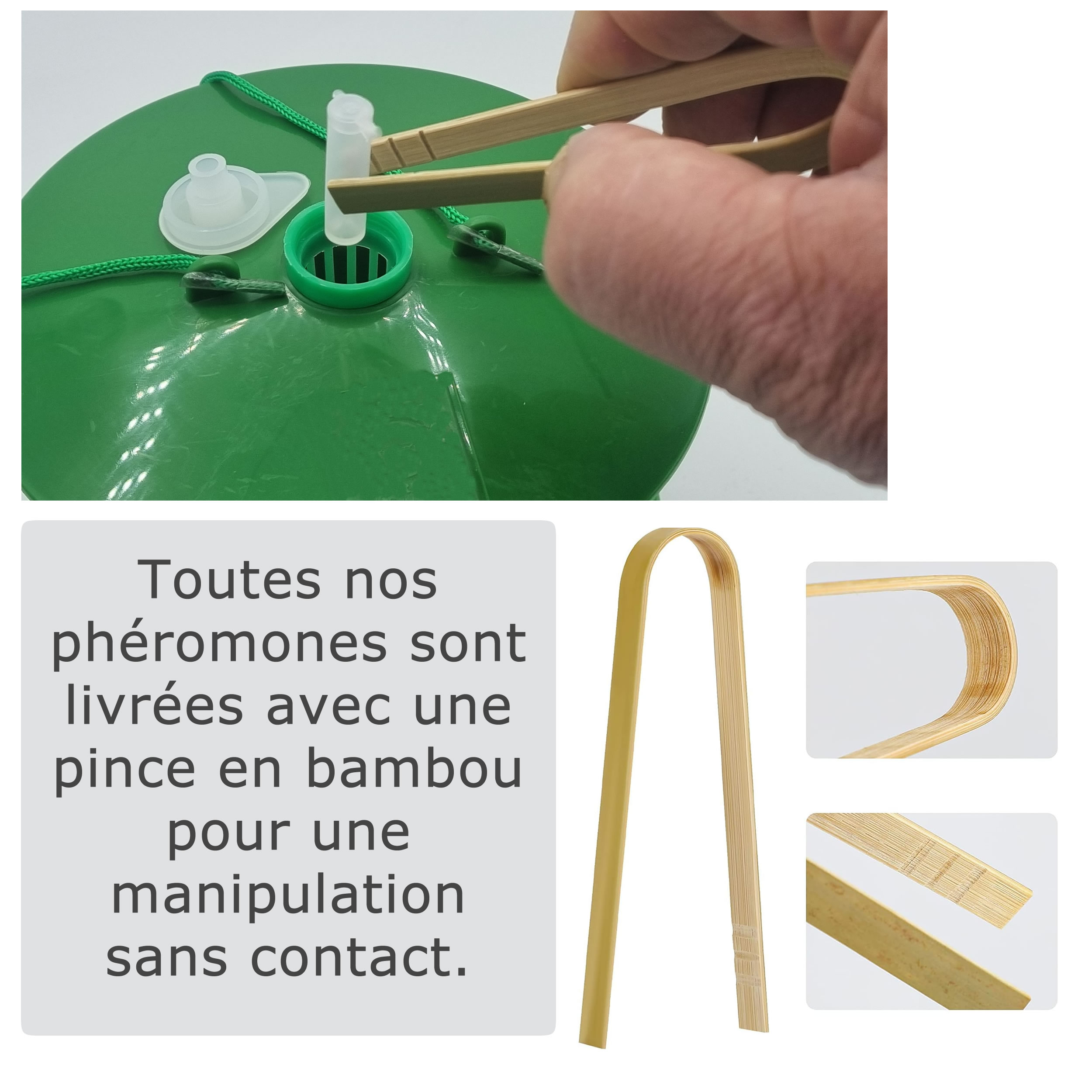 Mise en place phéromone avec une pince bambou