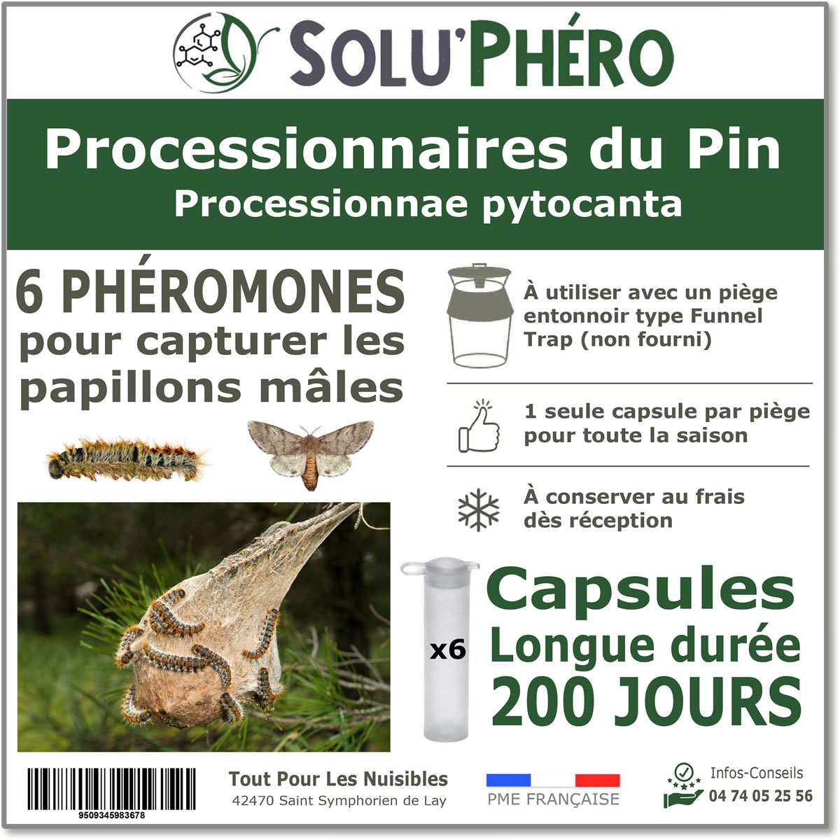 Phéromone pour attirer et piéger le papillon male de la processionnaire du pin par 6