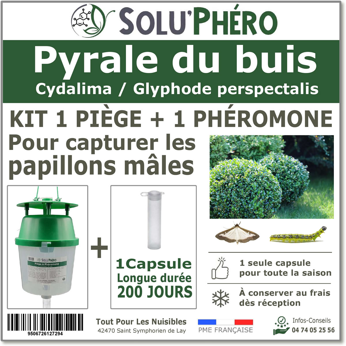 Soluphéro - Phéromone pyrale 200 + 1 piège Funnel trap