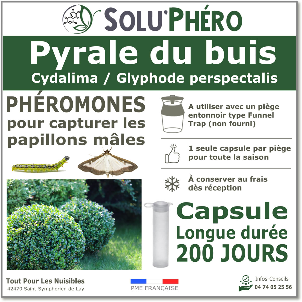 Soluphéro - Phéromone pyrale