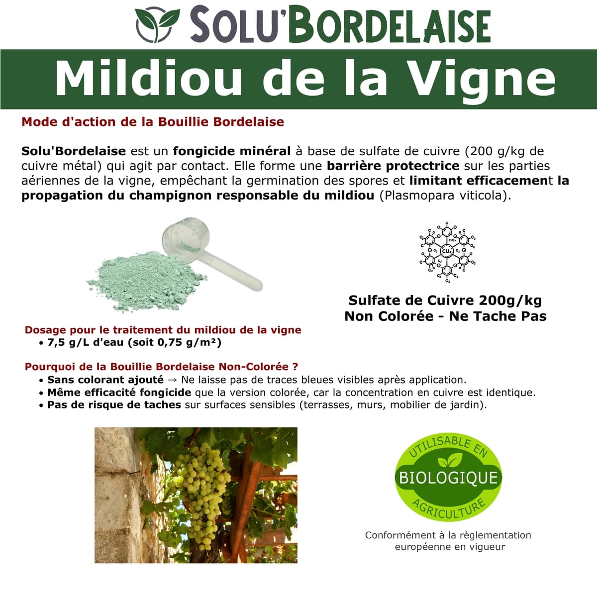 SOLU'BORDELAISE - Action de la bouillie bordelaise contre le Mildiou de la vigne