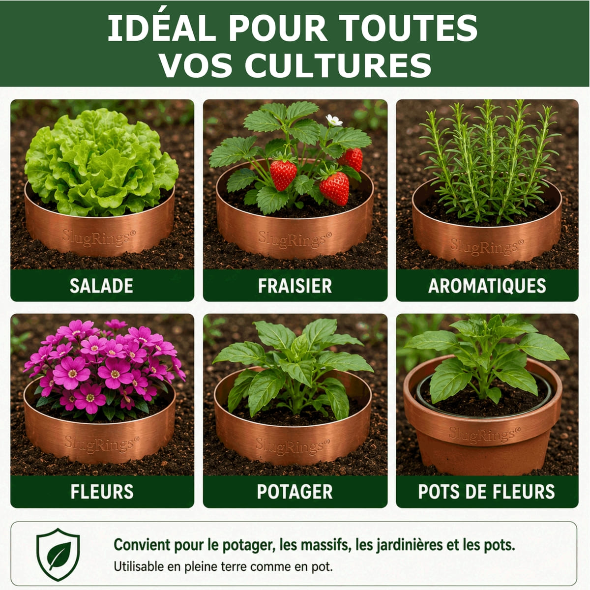 Anneau de Cuivre Anti-Limaces et Escargots SOLU'LIMACES - Usages