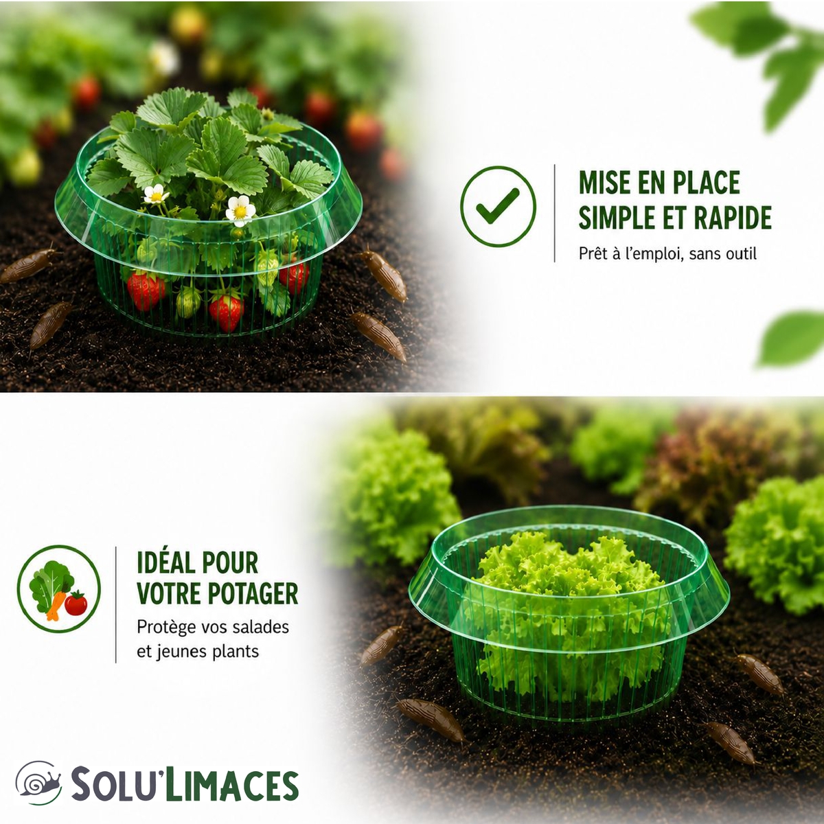 Cloche Anti-Limaces et Escargots SOLU'LIMACES - Potager