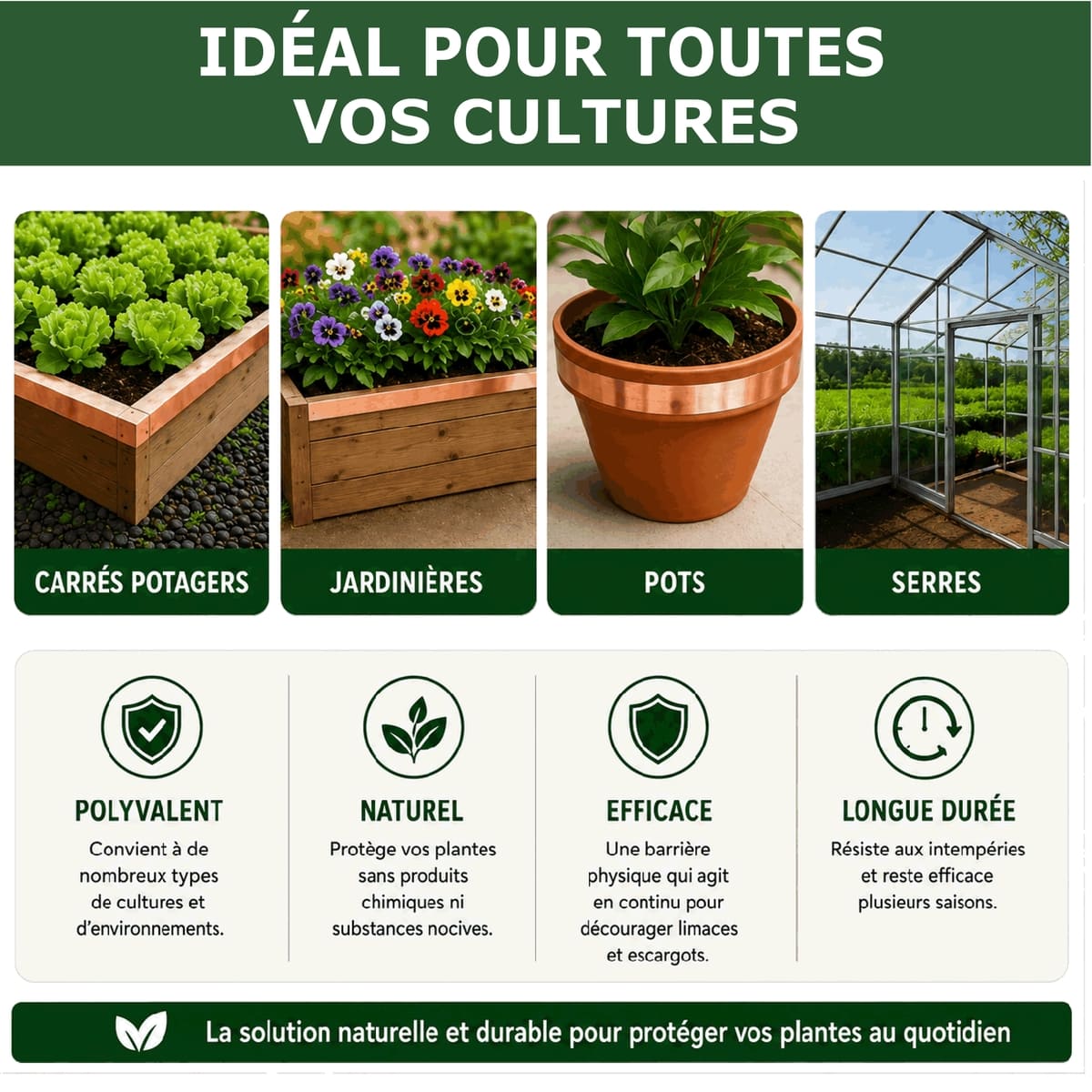 Ruban de Cuivre Anti-Limaces et Escargots SOLU'LIMACES - Usages