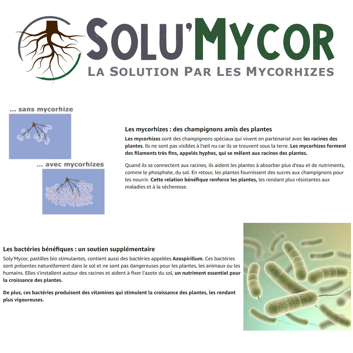 Avantage SoluMycor Pastilles Bio-stimulantes
