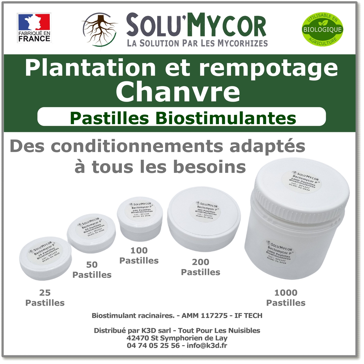 Pastilles biostimulantes MYCORHIZES et bactéries pour semis et plantation spécial chanvre, SOLU'MYCOR
