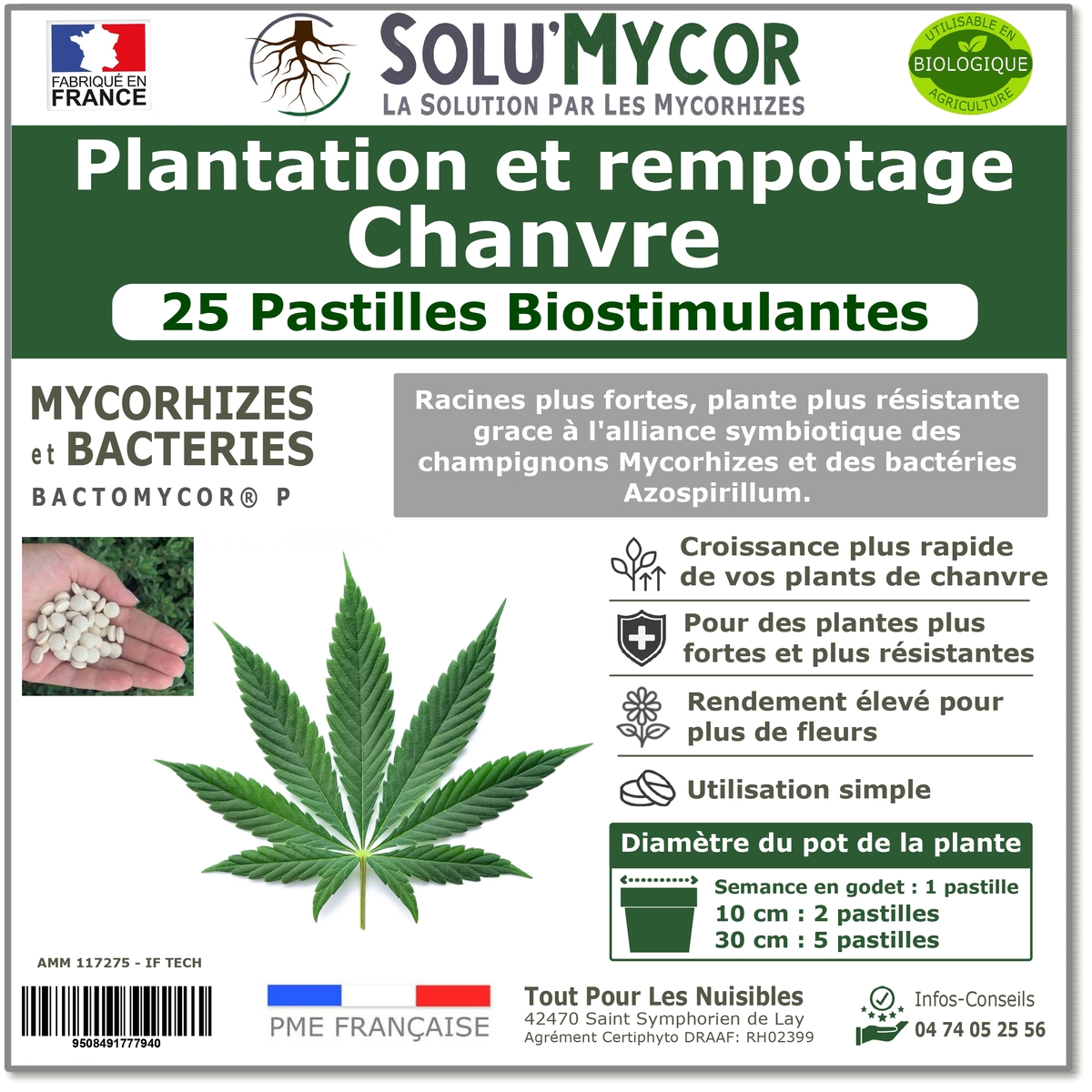 Comprimés biostimulants, SOLU'MYCOR Chanvre - 25 pastilles