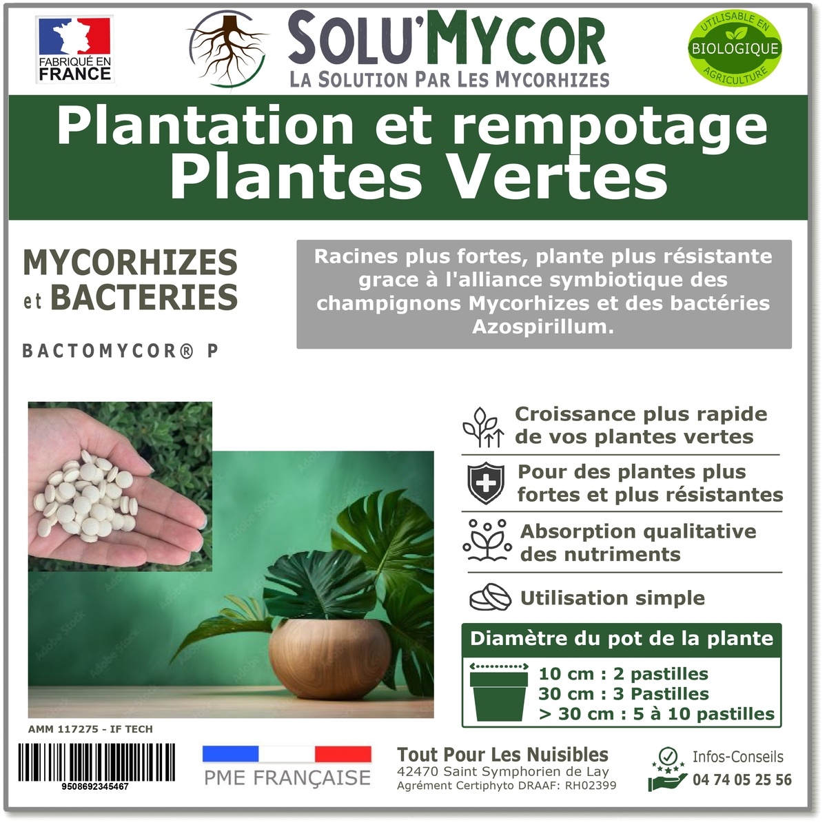 Master Label solu'Mycor Plantes vertes
