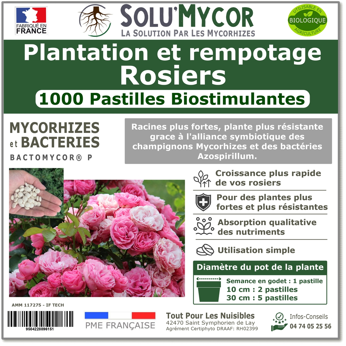 Comprimés biostimulants, SOLU'MYCOR Rosiers - 1000 pastilles