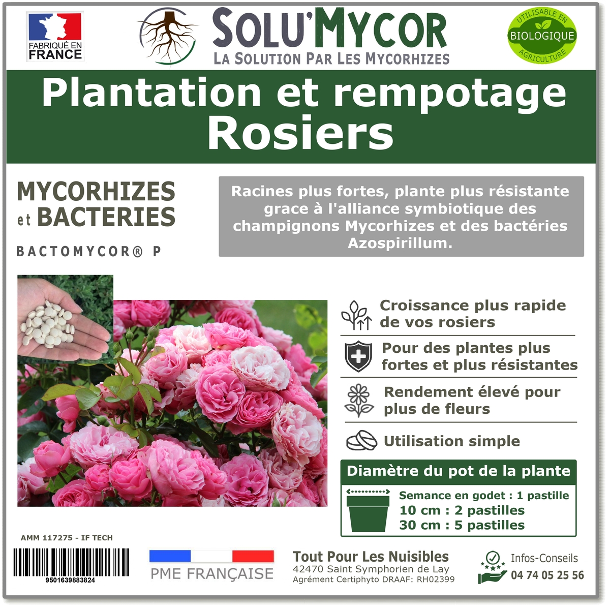 Master Label solu'Mycor rosier
