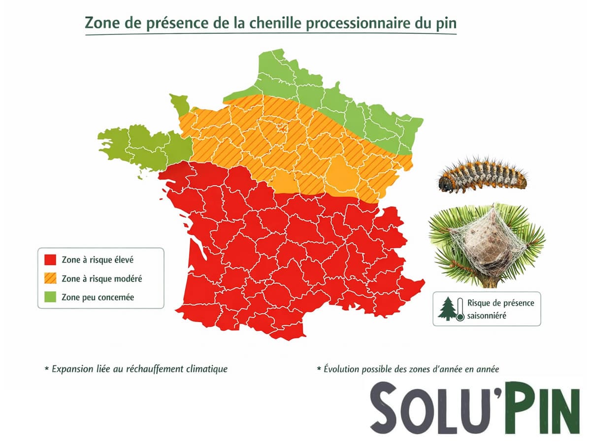 Carte de France montrant les zones de présence et de risque de la chenille processionnaire du pin