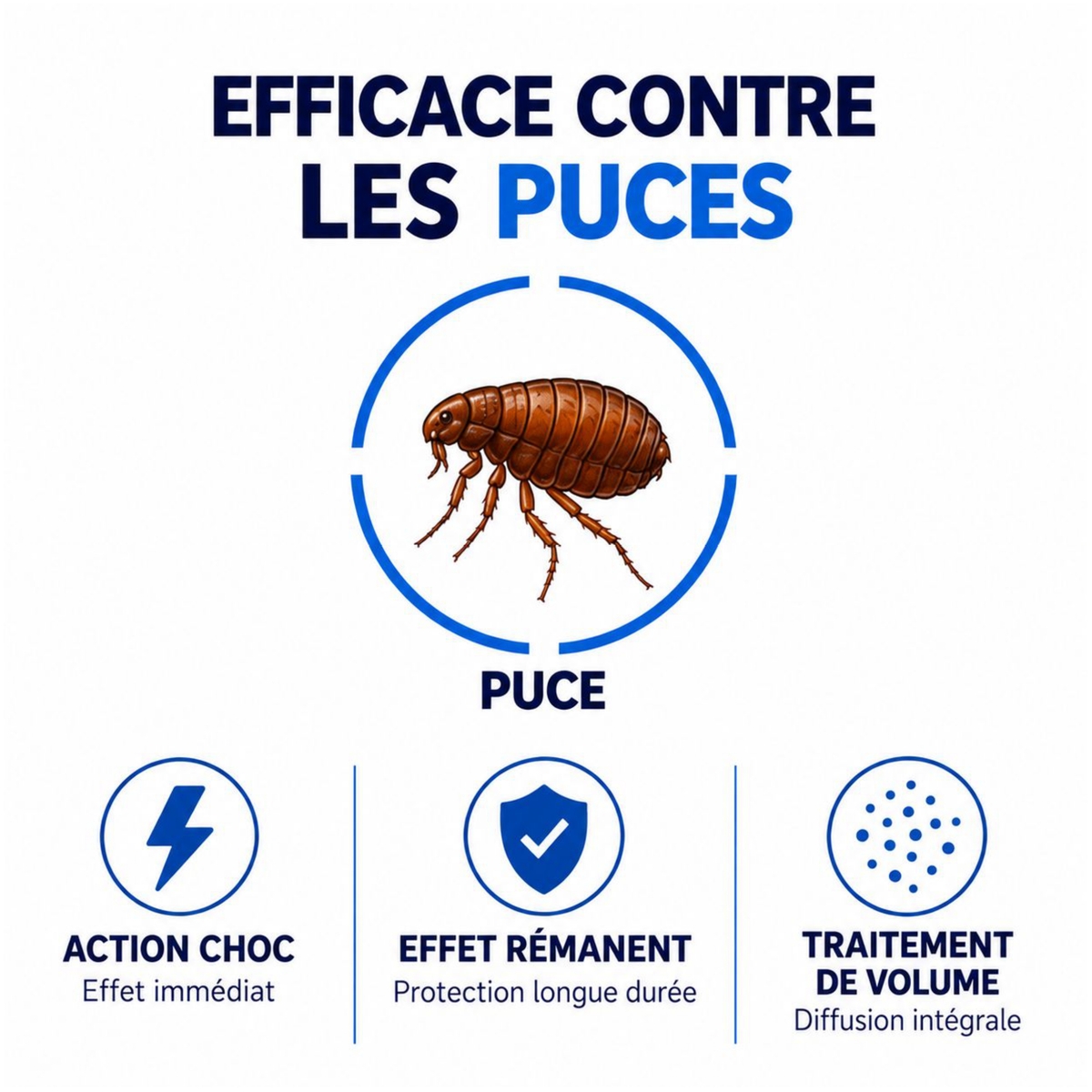 SOLU'PUCES - Cible