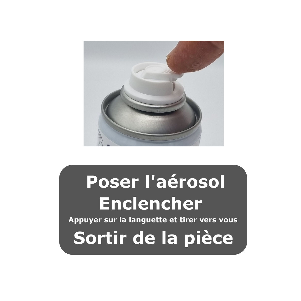 SOLU'PUNAISES - Mode d'emploi