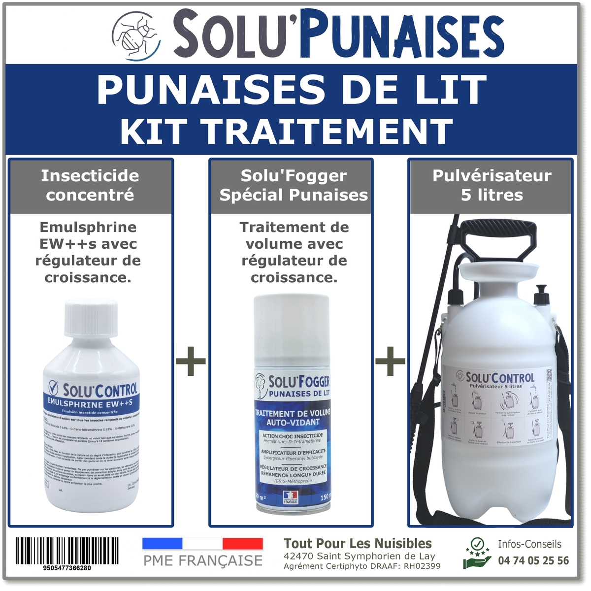 Traitement insecticide efficace sur la punaise de lit