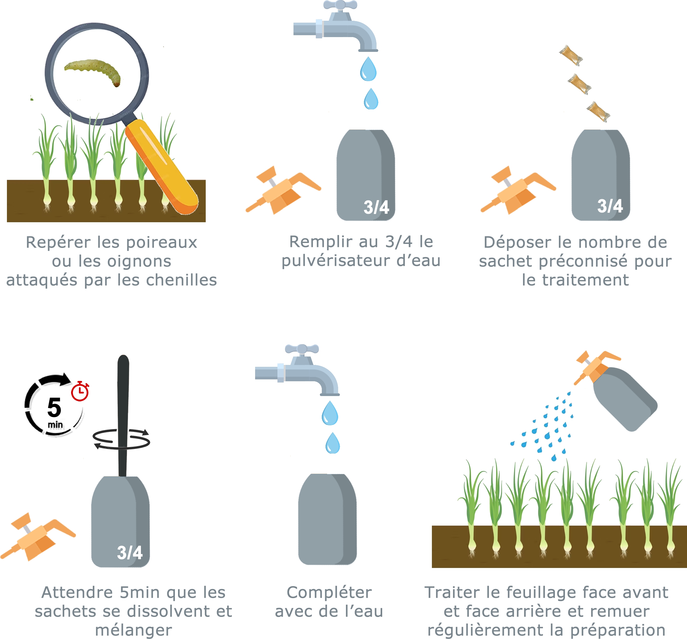 Schéma traitement BTK ver du poireau