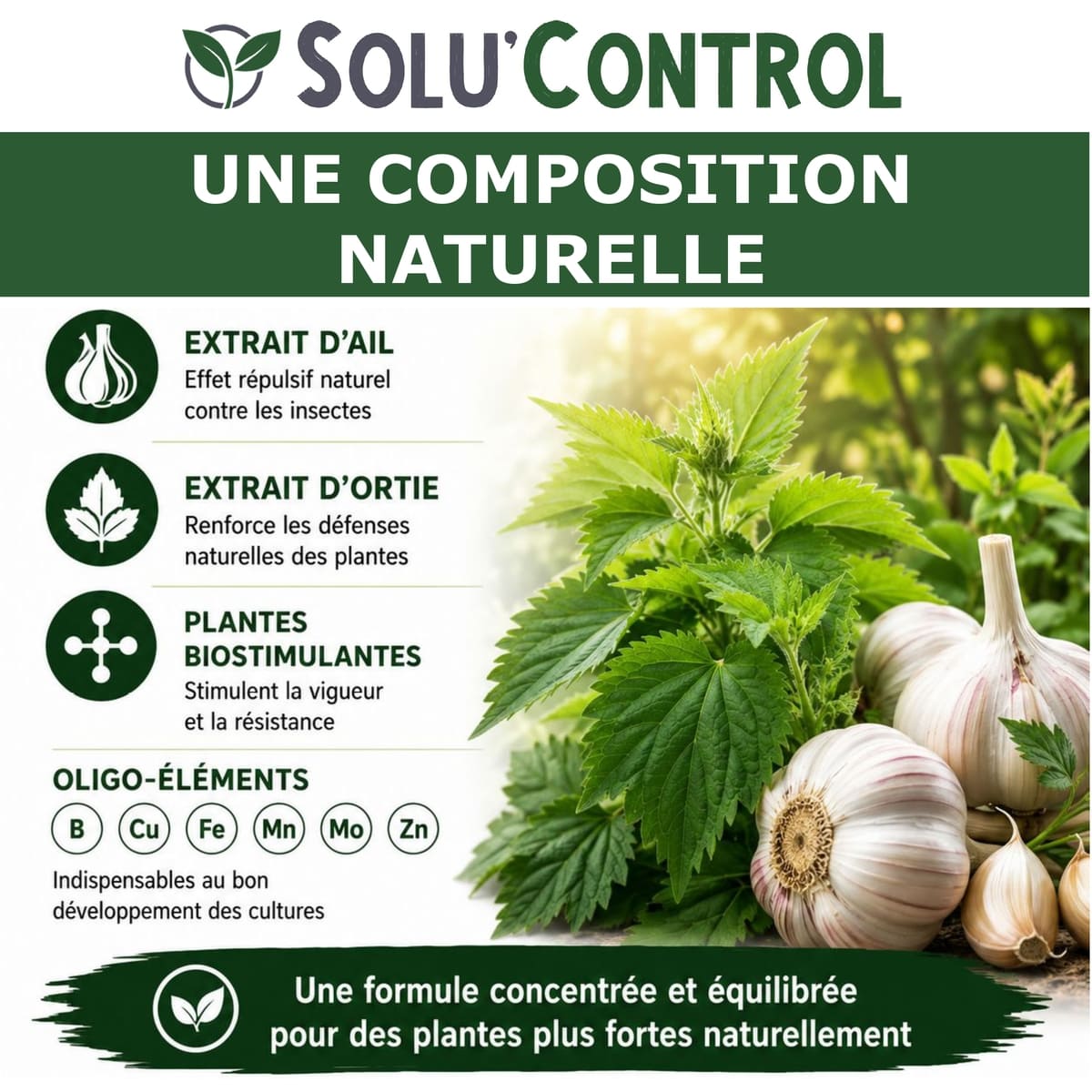 Solu'control Végé'Defense - Composition