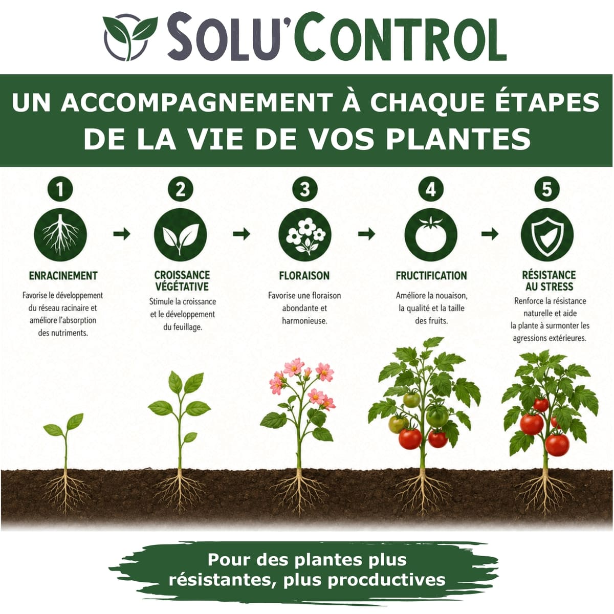 Solu'control Végé'Reprise - Tout au long de la vie des plantes