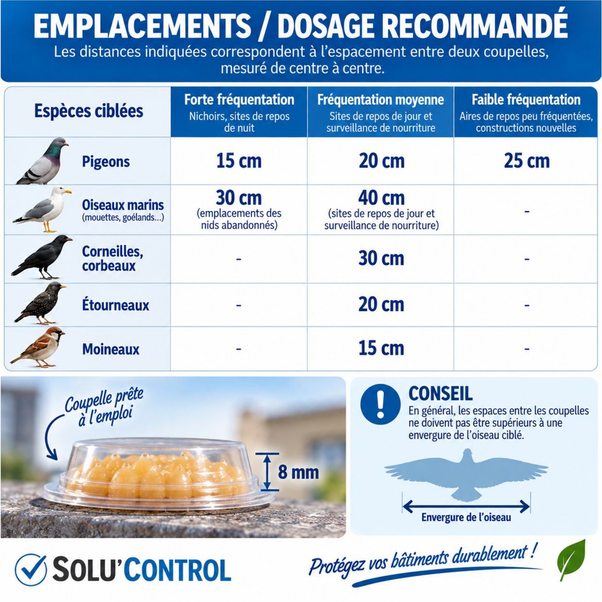 Répulsif pigeon, Bird Free - Emplacement
