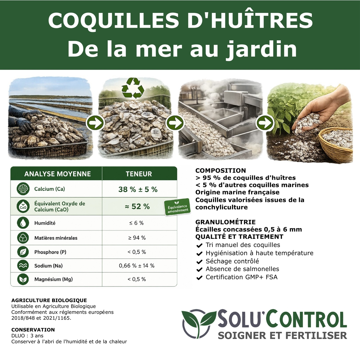 Écailles de Coquilles d'Huîtres Concassées – SOLU'CONTROL - Histoire