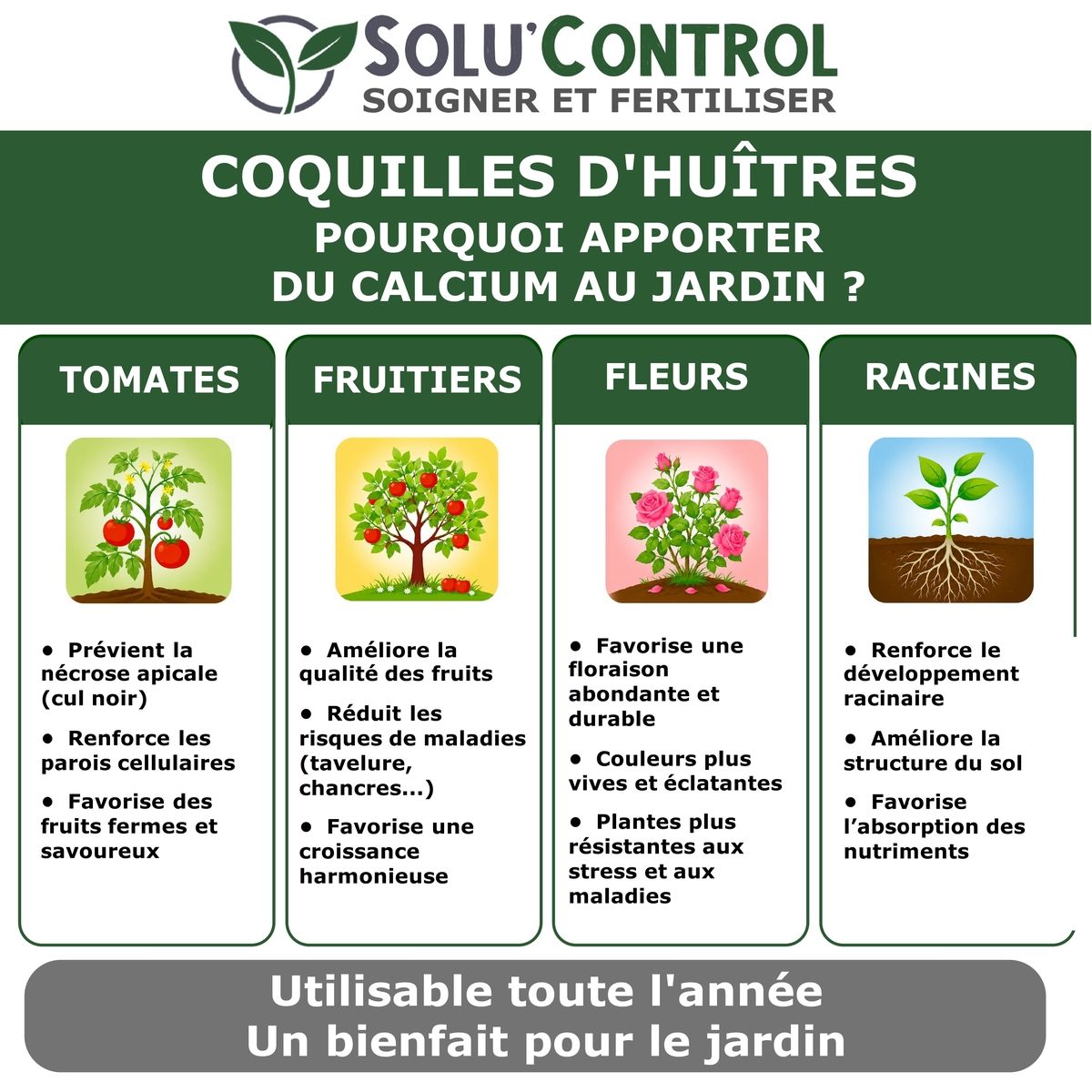 Écailles de Coquilles d'Huîtres Concassées – SOLU'CONTROL - Usages