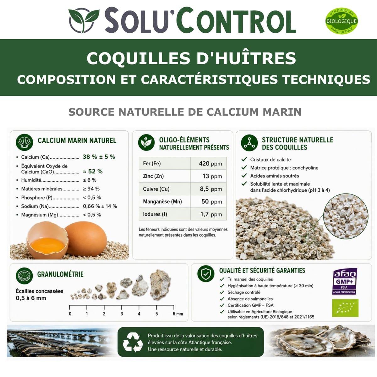 Écailles de Coquilles d'Huîtres Concassées – SOLU'CONTROL - Composition