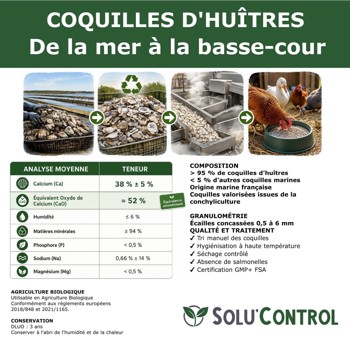 Écailles de Coquilles d'Huîtres Concassées alimentation volailes – SOLU'CONTROL - Histoire