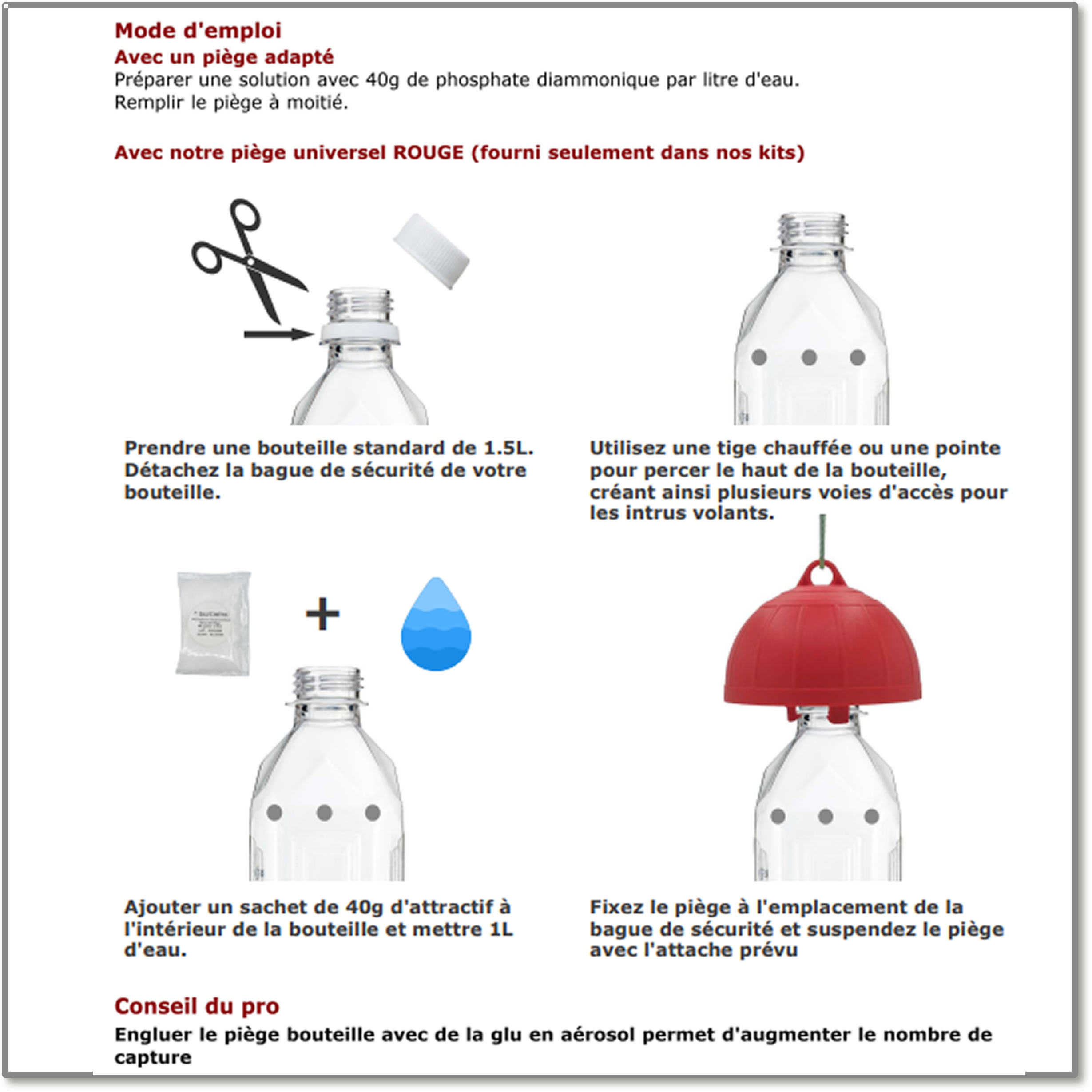 Schéma Phosphate Diammonique, appât naturel contre la mouche de la cerise
