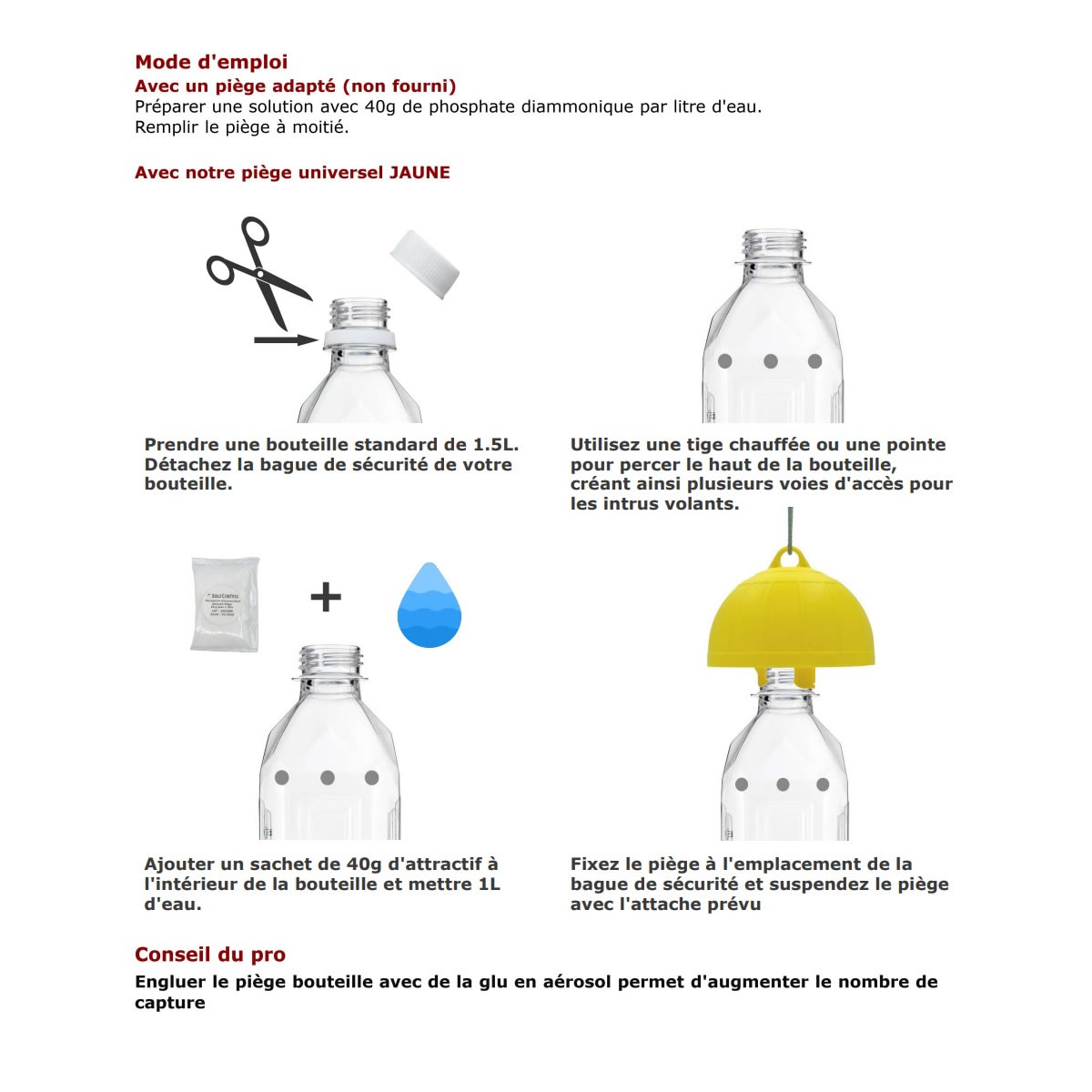 Schéma Phosphate Diammonique, contre la mouche de l'olive