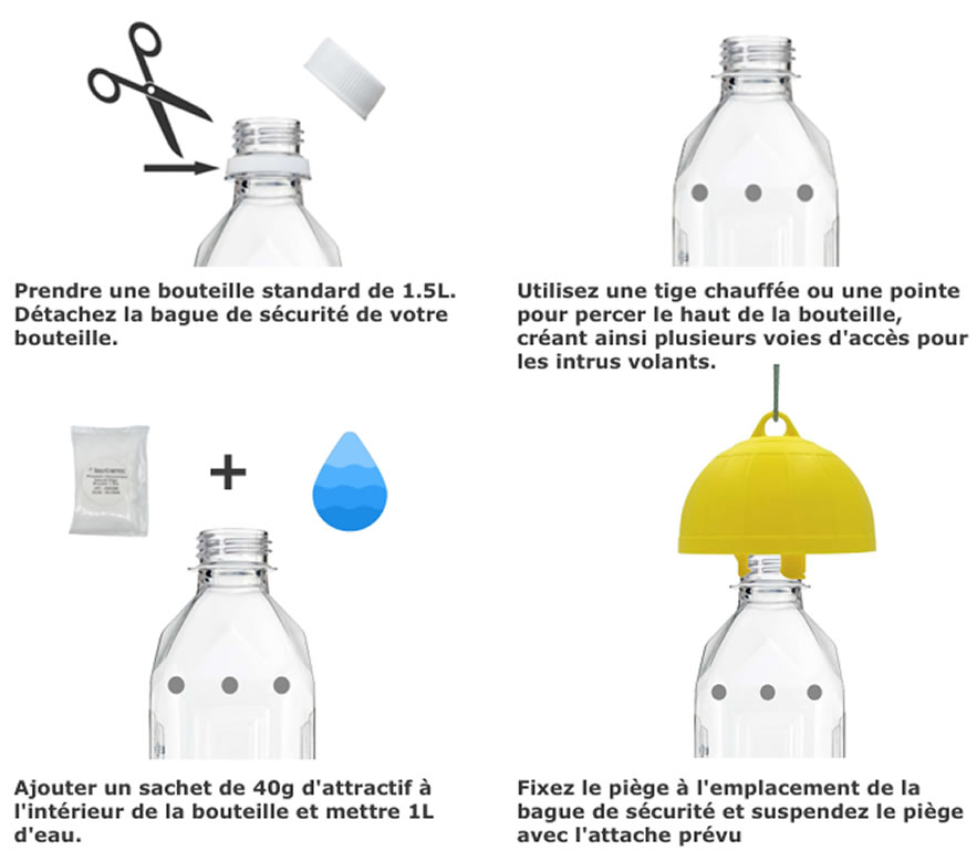Schéma d'installation du piège jaune