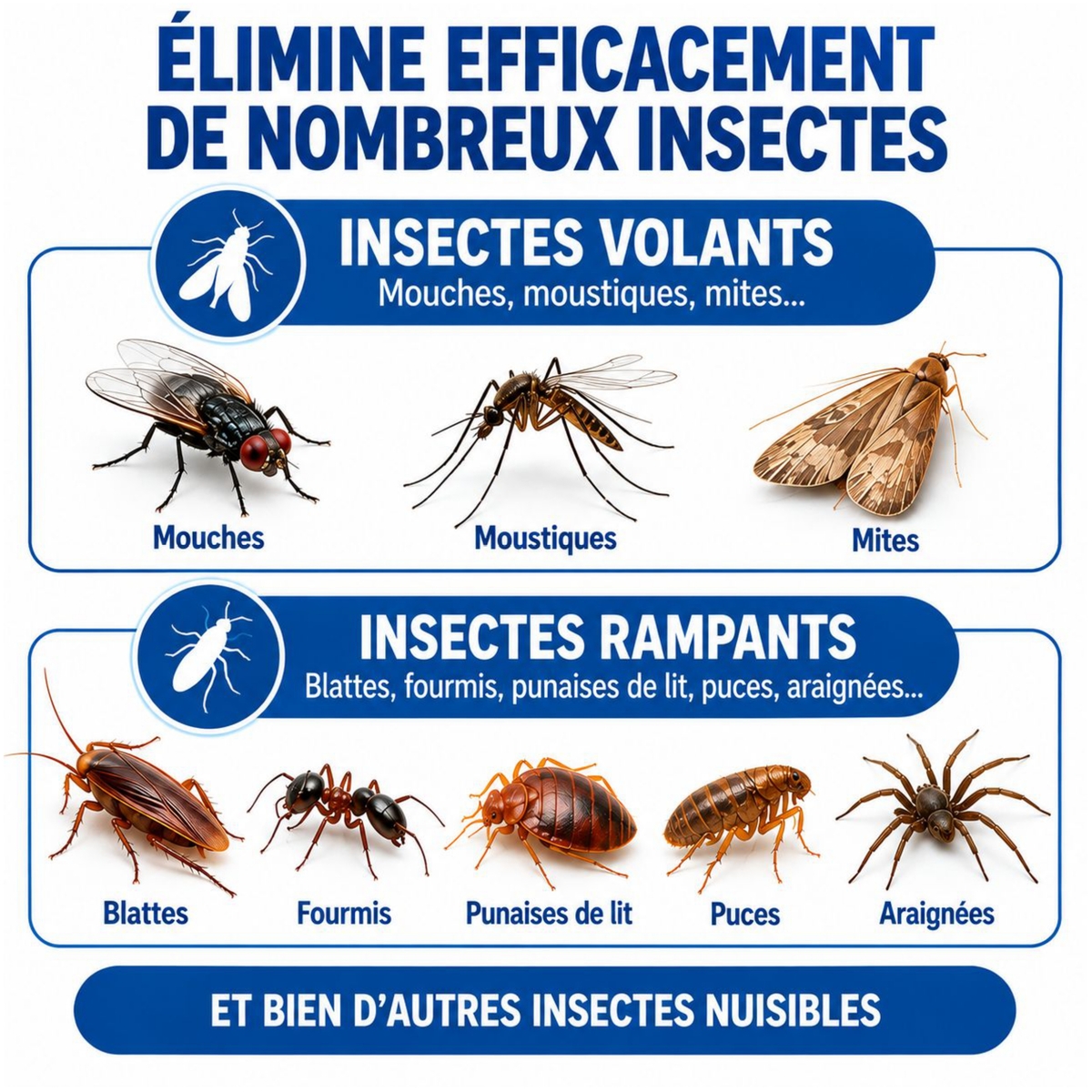 Insecticide fumigène - Cibles