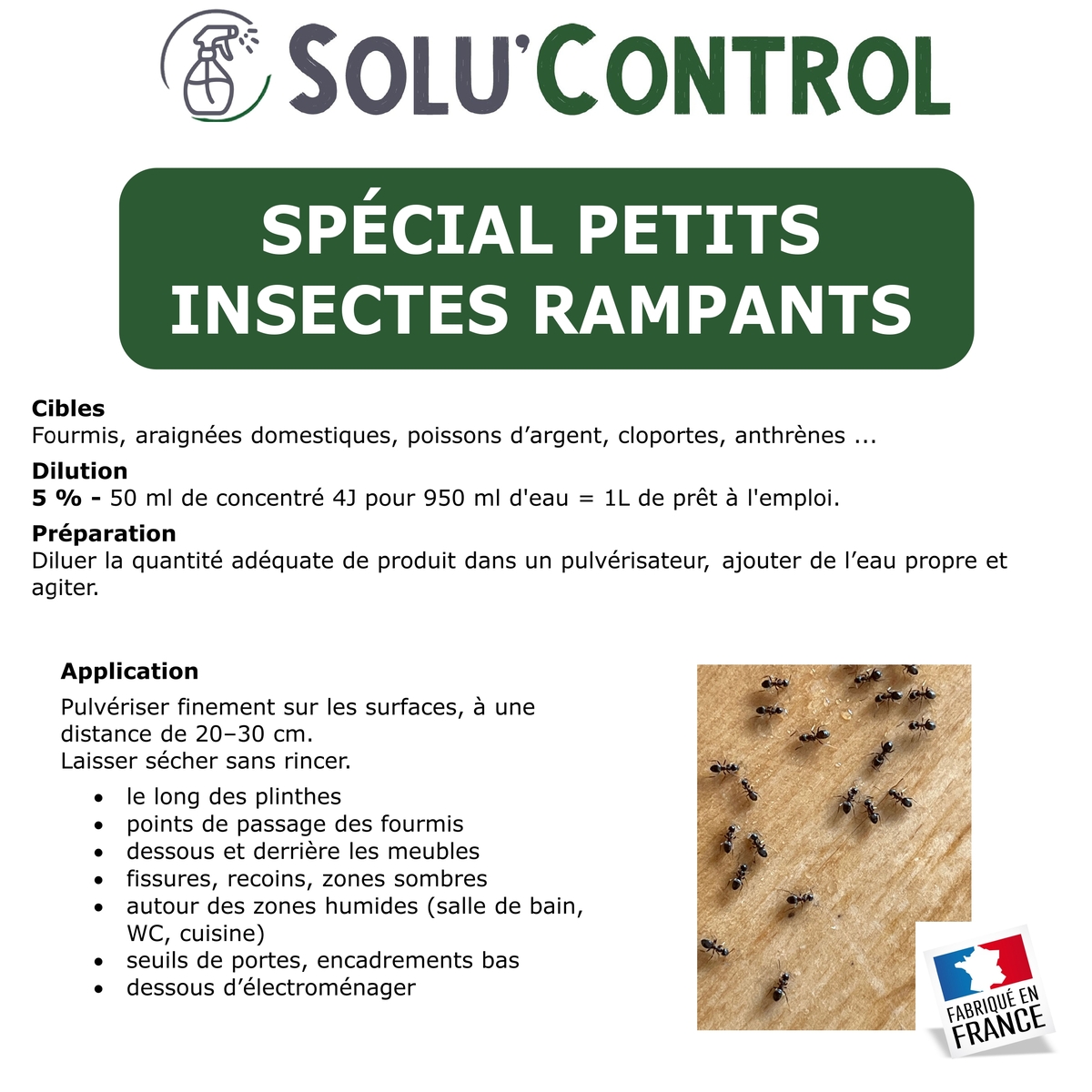 Insecticide 4J PAE Insectes Volants